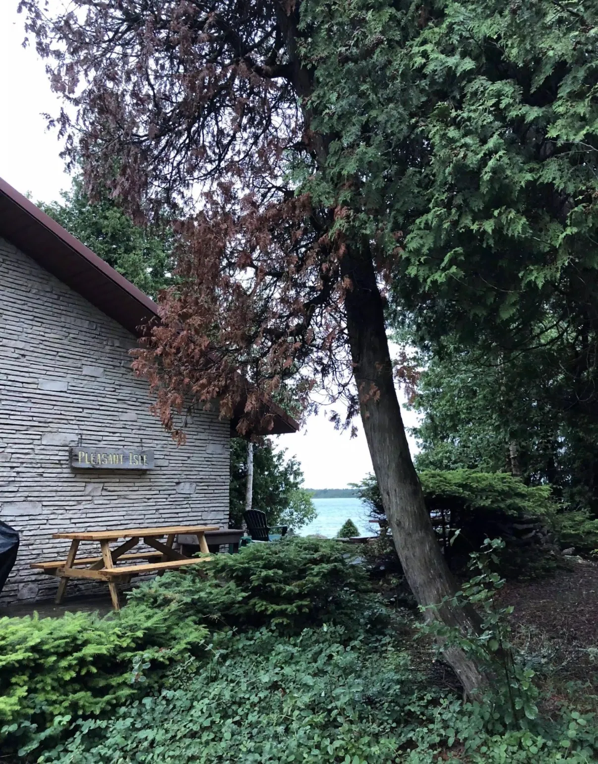 The cabin